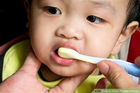 You can buy baking soda at a grocery store or. How to Clean Toddler's Teeth: 7 Steps (with Pictures ...