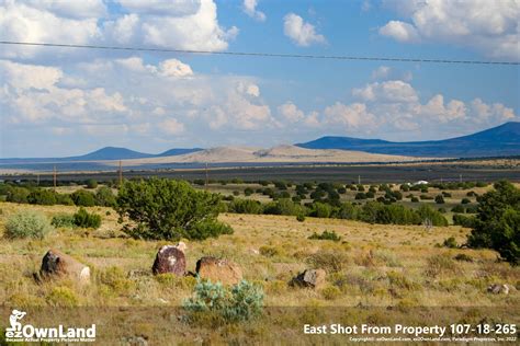 Concho Valley, Apache County, AZ Recreational Property, Undeveloped