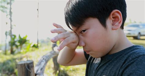 Asian Boy Crying In Garden Stock Footage Sbv 312070197 Storyblocks