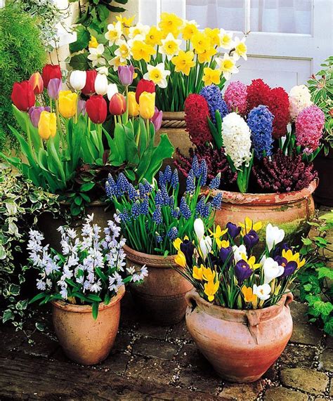 Spring Flower Decor Ideas Start Growing Your Own Front Back Yard Garden