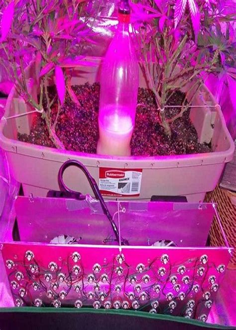 10 Diy Led Grow Lights For Growing Plants Indoors Growing Plants
