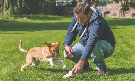 Februar, ist er um 12 uhr bei der funke mediengruppe zu einer talkrunde zu gast und beantwortet dort eure fragen! Martin Rütter DOGS München Hundeschule Garching bei ...