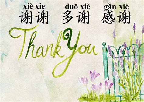Different Ways To Say Thank You In Chinese Chineseexpressions