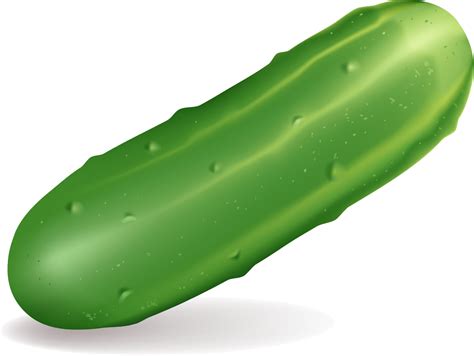 Cucumber Picture Png Image Transparent Image Download Size 1211x910px