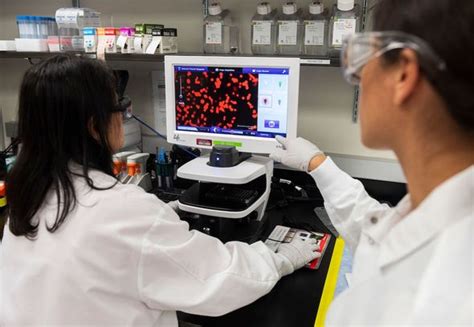 We take a look at why it can 5x in the next 12 months. Novavax vaccine: Which country made the Novavax vaccine ...
