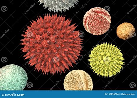 Pollen Grains From Different Plants Stock Illustration Illustration