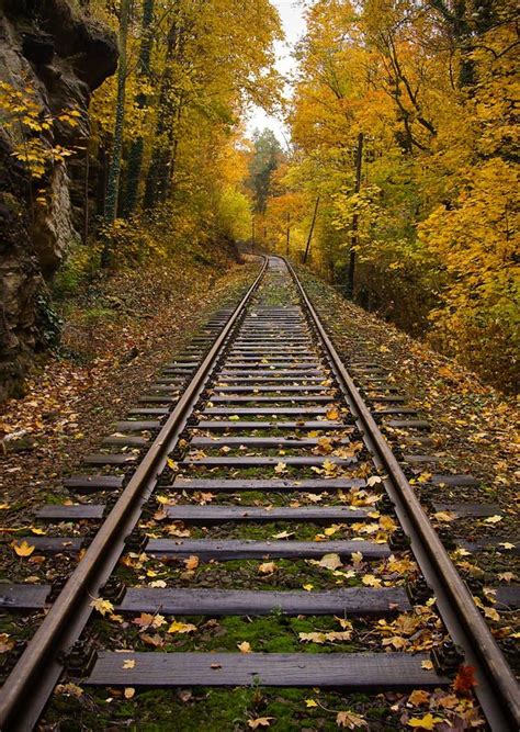 Autumn Rails By Jaro Vosahlo 500px Train Tracks Photography Track