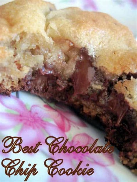 The 29 Best Chocolate Chip Dessert Recipes For The Chocolate Lover