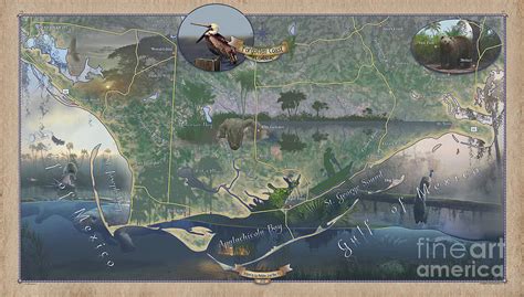 Forgotten Coast Apalachicola Bay Florida Map Florida Art Hand