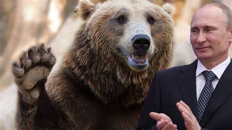 Putin Holds A Show Stopping Bear Loving Press Conference Youtube