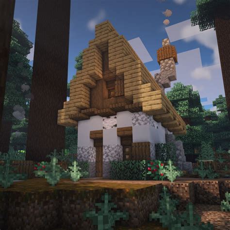 House In Taiga Minecraft