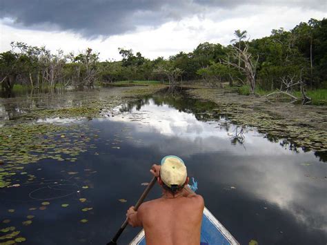 Agua Em Tupi Guarani