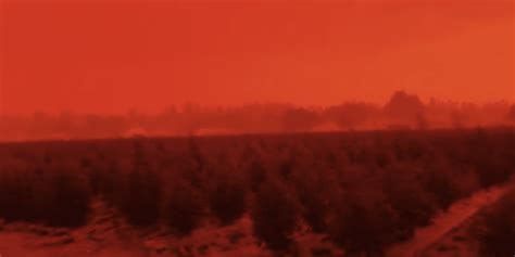 Skies Turn Blood Red Above Oregon In Apocalyptic Scenes Ash Falling