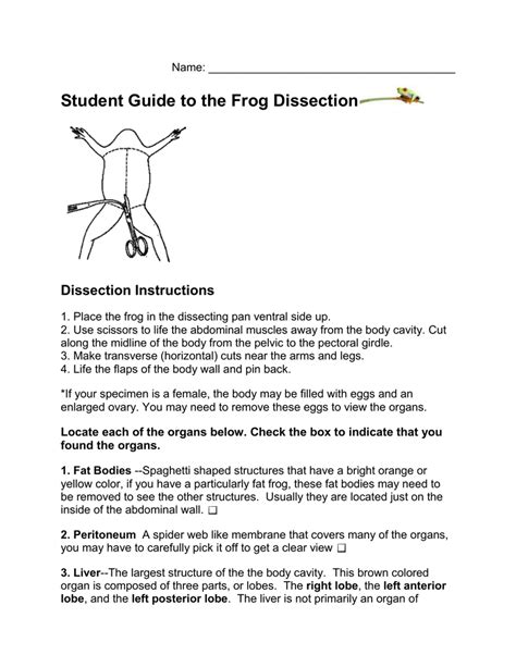 Frog Dissection Worksheet Answer Key