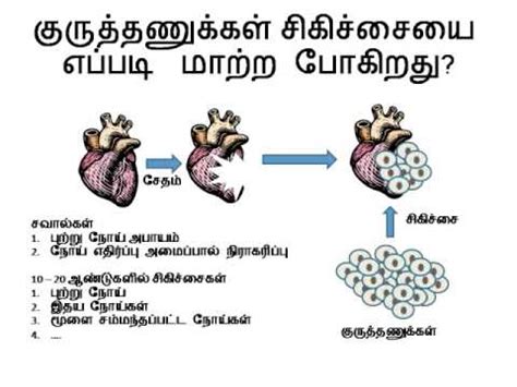 The smallest basic unit of a plant or animal 2. what are stem cells in Tamil language ஸ்டெம் ஸெல்கள் ...