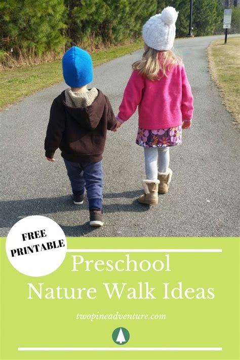 Nature Walk For Preschoolers Two Pine Adventure Walking In Nature