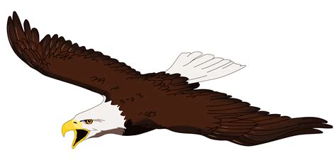 Eagle Soaring Clipart Best