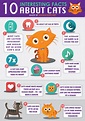 10 Interesting Facts About Cats by Animals Life NET - Animals Life ...