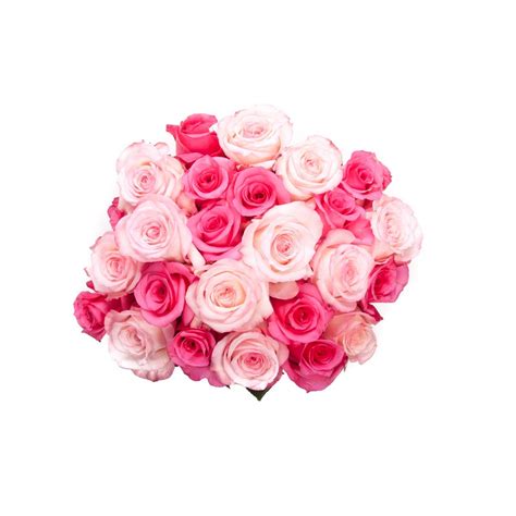 Pretty In Pink Roses Bouquet Flower Muse