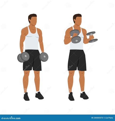 Man Doing Standing Dumbbell Bicep Hammer Curls Stock Vector