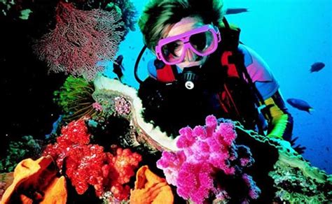 Scuba Diving Great Barrier Reef Dive Charters Instructors