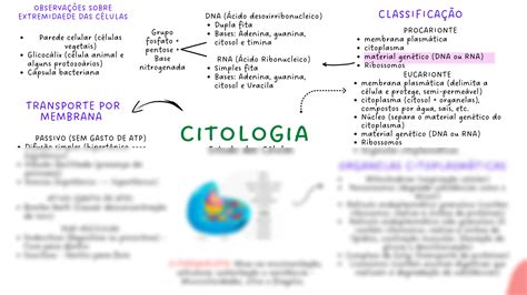 Solution Mapa Mental Citologia E Bioqu Mica Studypool