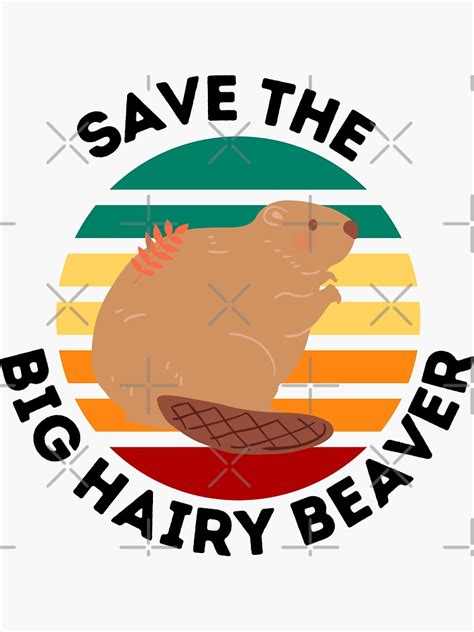 Save The Big Hairy Beaver Sticker For Sale By Pstawicki Redbubble