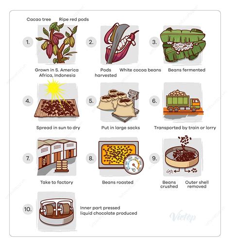 Ielts Essay Cocoa Beans And Chocolate Process Diagram How To Do Ielts