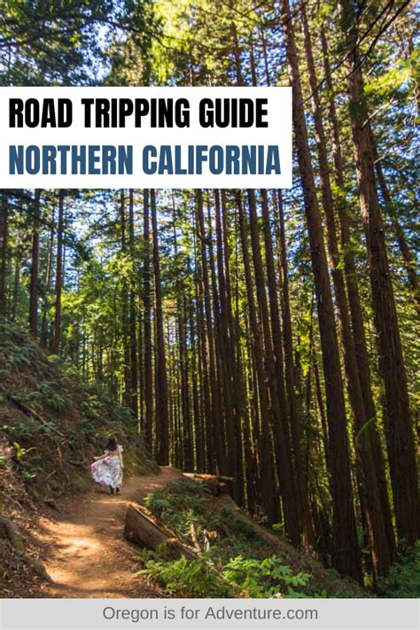 21 Adventurous Things To Do On A Northern California Road Trip