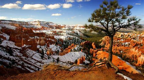 Bryce Canyon National Park Wallpapers Wallpaper Cave