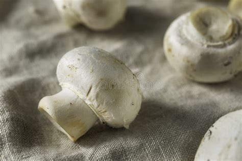 Raw Organic White Button Mushrooms Stock Image Image Of Healthy Heap