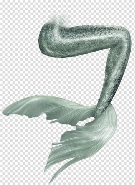 Free Download Mermaid Tail Mermaid Tail Transparent Background Png