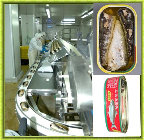 Full Automatic Stainless Steel Canned Tuna Machine China Canned Fish