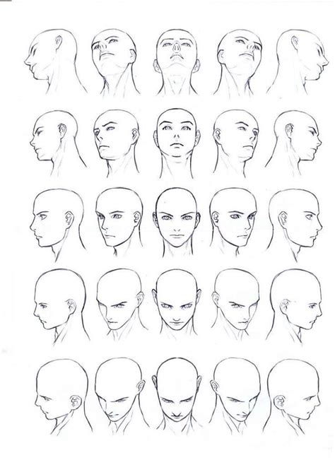 How To Draw All Angles Of Face Lasurged Domay1950