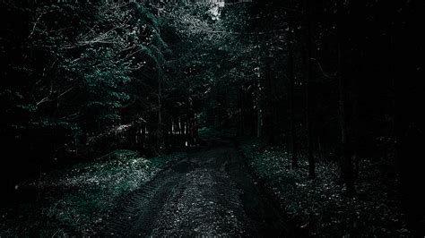 Forest Wood Dark Dirt Road Trees 4032x2268 Wallpaper Wallhavencc