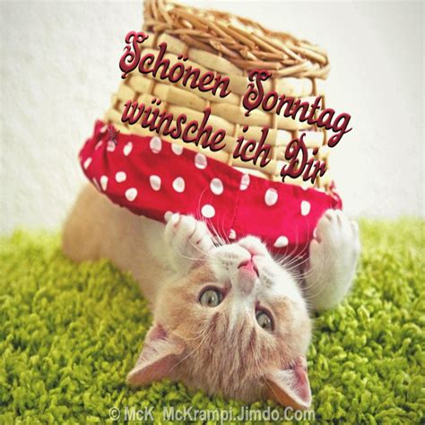 Keine verpflichtungen warten auf dich, du kannst lange schlafen oder dich in ruhe mit einem buch in den garten setzen. McK Sonntag´s GB für @ all :-) | McK GB Bilder für Jappy ...