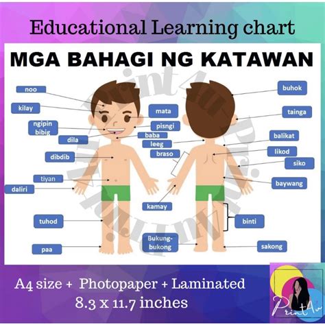 Mga Bahagi Ng Katawan Learning Chart Tagalog Laminated Shopee Philippines