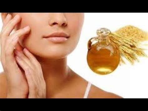What is it, benefits, method: Wheat germ oil for hair what is it, benefits, Method very ...