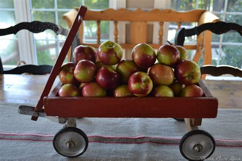Three Pixie Lane An Apple Pickin Cart Centerpiece