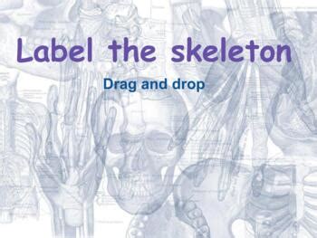 Which of the following bone tissues is adapted to support weight and withstand tension stress? Drag The Labels To Identify The Structures Of A Long Bone. : How Swifts Control Their Glide ...