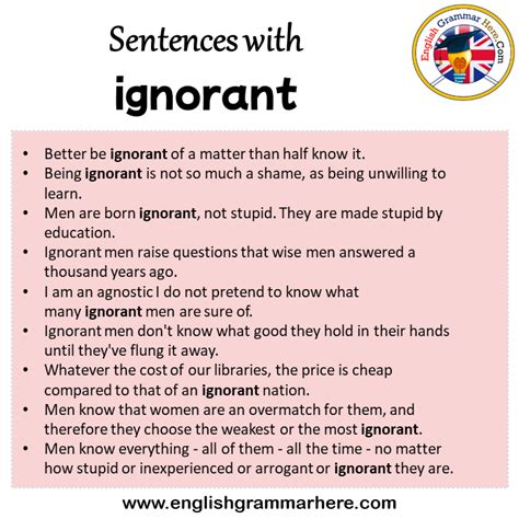 Sentences With Ignorant Ignorant In A Sentence In English Sentences