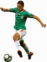 Javier Hernandez Balcazar Football Player Profile And Images ~ Sports ...