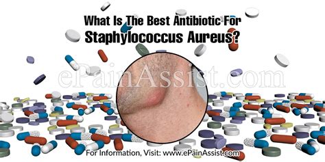 What Is The Best Antibiotic For Staphylococcus Aureus