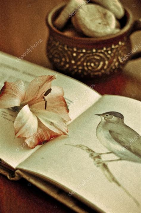 A Still Life Vintage Photo Of Flower Book And Cup — Stock Photo