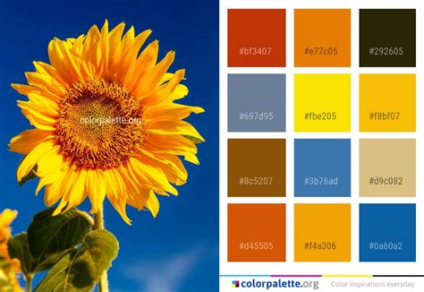 Yellow Complementary Color Color Palette Yellow Yellow Color Color