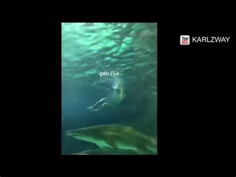 Man Wanted After Jumping Naked Into Shark Tank At Ripleys YouTube