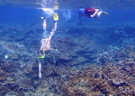 Hawaii Snorkeling Anyone A Guide To Your Safe And Fun Underwater