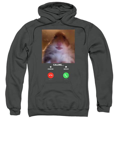 Buy 300 Gsm Mens Healthy Cotton Hoodies Dank Meme Hamster Print