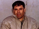 Rise of Mexican drug lord 'El Chapo' - Business Insider