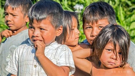 カカオ栽培・ピラルク保護・自治政府 環境守るアマゾン先住民 写真24枚 国際ニュース：afpbb News